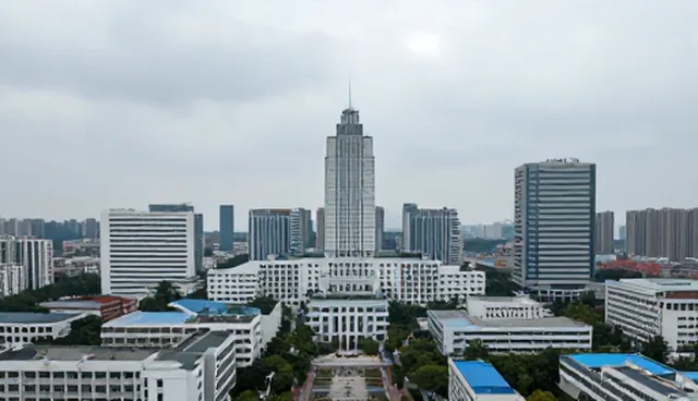 节点可查中的理解偏差如何避免